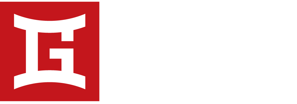 Gemini GVN logo