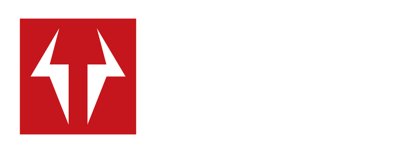 Taurus TPN